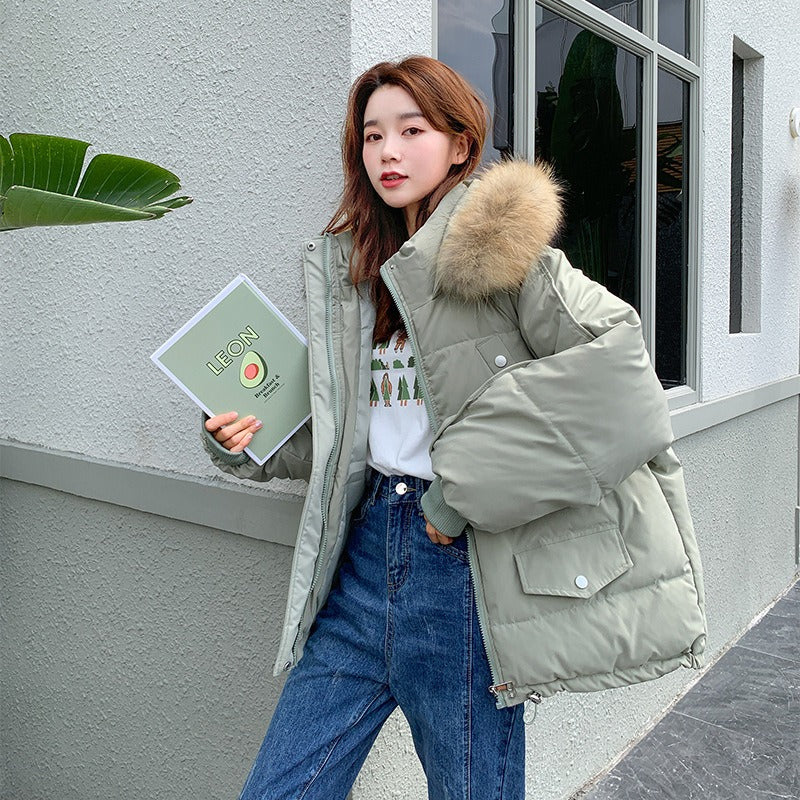 Winter New Down Cotton Jacket Short Coat Korean Version BF Loose Net Red Ins Port Style Thickened Cotton Jacket